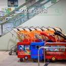 쇼핑하기 좋은 삿포로 대형마트 2곳, 이온몰 아리오몰 후기