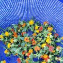 여리농장 이미지