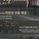 비디피트 이미지