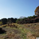 전 기황후 릉 터 이미지