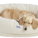 허브힐링가든 이미지