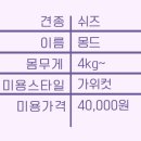 강남애니펫샵 이미지