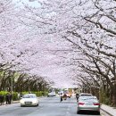 대우마리나아파트 이미지