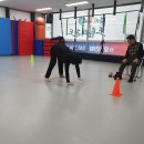 브라보 복싱 이미지