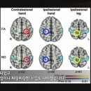 경희미래한의원 이미지