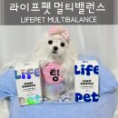 그린라이프약국 | 강아지 종합영양제 라이프펫 멀티밸런스 노령견 시니어용 전연령용 비교