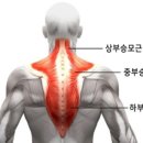 본소마메드짐운정점 이미지