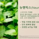 점핑캥거루