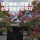 (주)바른나무파트너스 | 대구 배롱나무 명소 신숭겸 장군유적지 현재 개화 현황과 400년 고목 포토존
