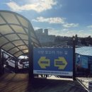 명성렌트카 이미지