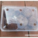 오향골농장 이미지