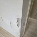 개나리 멍멍 이미지