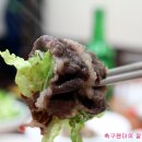 지보한우