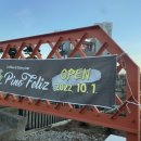 피노펠리즈 이미지