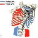 피앤피짐 이미지