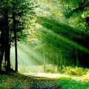 산소첼로 이미지