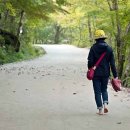 순창등산복 Daum카페