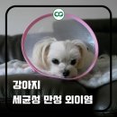 어울동물의료센터 이미지