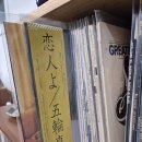 엘피갤러리 | 서울 놀거리 추천 길동 LP 레코드샵 청음감상실 엘피갤러리