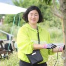 강진1호 이미지