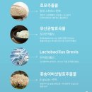 인셀덤팩토리 | 인셀덤 딥톡스 식이섬유 후기 :: 디톡스 다이어트 차전자피환으로 변비탈출! 상세 후기와 복용법