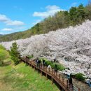 수원-1731 이미지