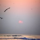 사랑의 변주 이미지