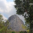 세왕농장 이미지