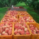 삼화농장2 이미지