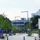 한솔동복합커뮤니티센터 정음관 수영장 이미지