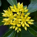 기린초등학교 이미지