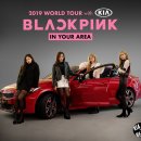 YG MOTORS 이미지