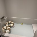 오롯이 제주 스테이 | 제주 펜션 감성 독채 숙소 잔여울스테이 협재애월점