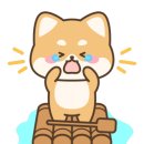 마이크로헤어증모