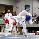 대학태권도체육관 이미지