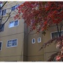 고덕대표부동산공인중개사사무소 이미지