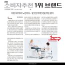 레푸스 화정점 이미지