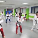 팡팡태권도장 이미지