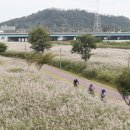 (주)쾌청