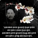 독립운동가 단재 신채호의 명언 이미지