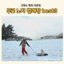 발안하나로마트 | 강원도 평창 대관령 눈썰매장 무료 노지 스팟 best3
