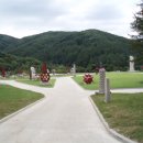 C ART MUSEUM 이미지