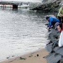 물안해수욕장 이미지