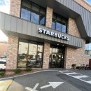 팽고 팽고 | 스타벅스 할로윈 신메뉴 펌킨 치즈 케이크 / 패션 팽고티 레모네이드 피지오 후기