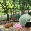 복만네 | 경북 칠곡 여행 먹이주기 동물농장 카페 복만네 후기 아기랑 가볼 만한 곳