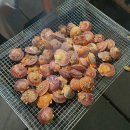 퀸즈파크펜션 | 배내골 펜션 - 울산(배내골 계곡 펜션) 퀸즈파크펜션 - 펜션 바로 앞에 계곡!!