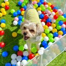 호텔 동래 이미지