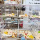 대전 컨벤션센터 | 2026 대전 파충류 동반자, 컨벤션센터 주차 오픈런 후기