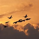 산들바람 이미지