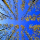 자연풍경2 이미지